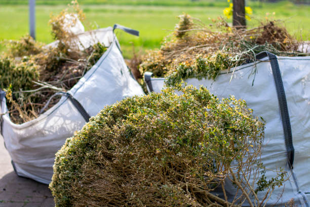 Best Basement Cleanout Services  in Wyandanch, NY